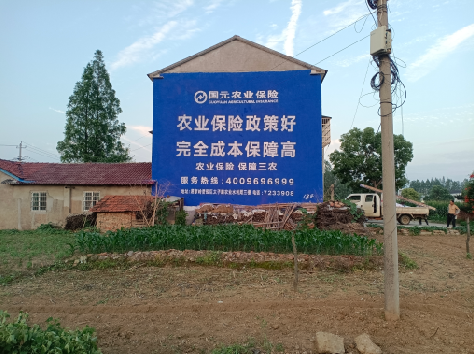 庆元墙体广告为何受追捧？